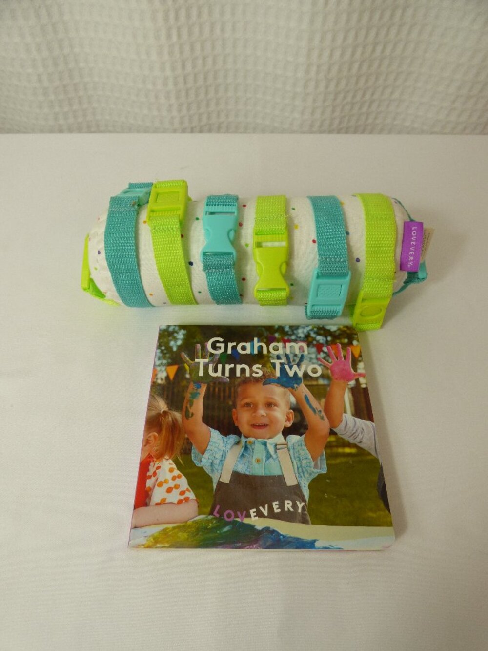 Lovevery Toys from The Companion Play Kit, Months 22-24+